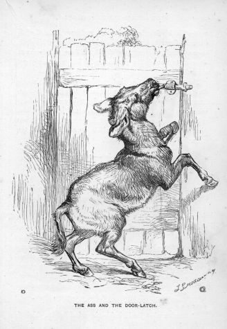 ass and pussy pictures