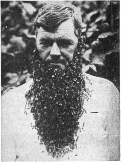 Jay Smith had a dressy bee beard known the world over.