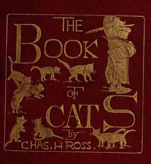 images of cats. The Book Of Cats