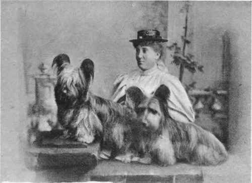MRS. W. J. HUGHES WITH HER SKYE TERRIERS DOLLY AND JOCK.