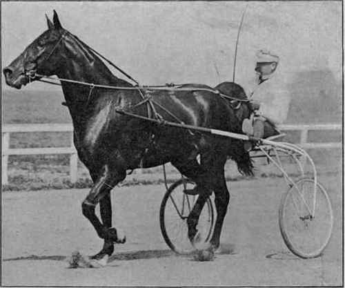 Dan Patch, 1:56 Holder of the worlds pacing record.