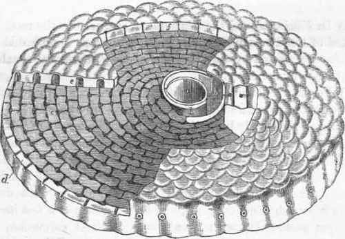 Structure of the calcareous disk of an Orbitolite.