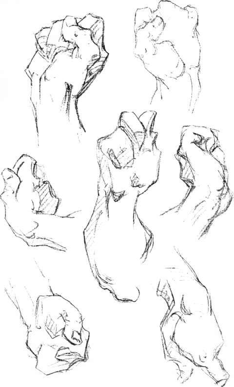 The Hand. Construction, The Thumb, Anatomy, Masses, Movements