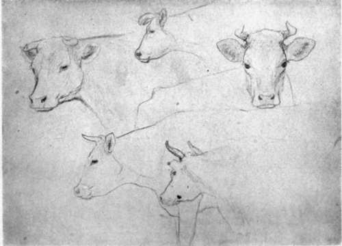 Pencil Sketch by Charles Livingston Bull.