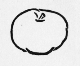 Theory-Of-Spots-20