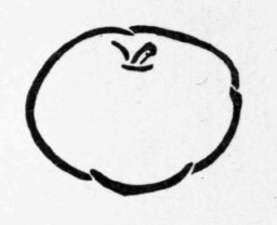 Theory-Of-Spots-21