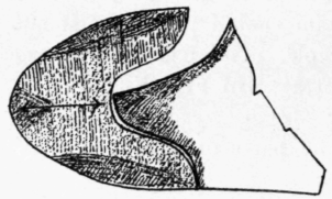 Fig. 180.
