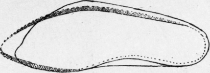 Fig. 99.