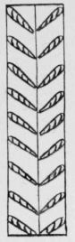 17-Bullion-Stitch-25