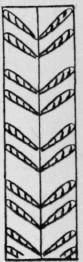 17-Bullion-Stitch-27