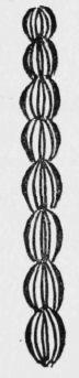 62-Double-Chain-Stitch-111
