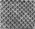 Netting Explanation Of Stitches 44