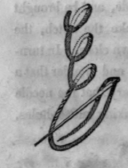Plain Needlework Explanation Of Stitches 6