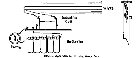 Electric Apparatus for Driving Away Cats