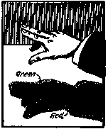 Two Colored Hand