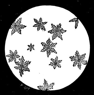 Alcohol In Nature Its Presence In The Earth Water  288 1d