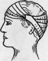 Figure 8 Of The Head