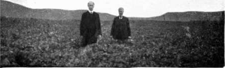 Mr. Hannah and Mr. Grubb in potato field