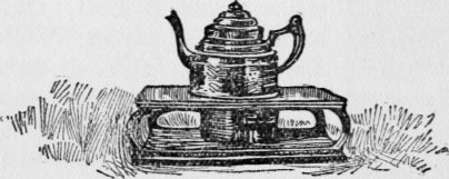 Chapter-XIII-Variations-with-Vegetables-39