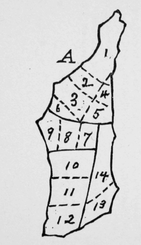 Hind quarter of Beef