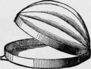 Melon Mould.