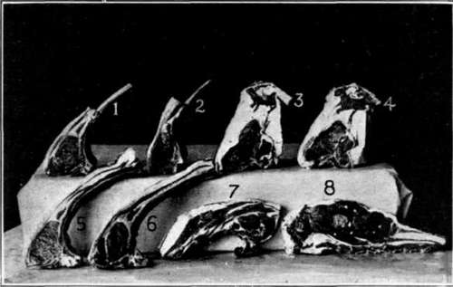 Market Cuts Of Lamb And Mutton