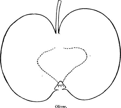 Apple Variety: Oliver