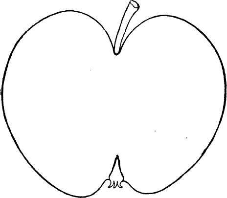 Apple Variety: Primate