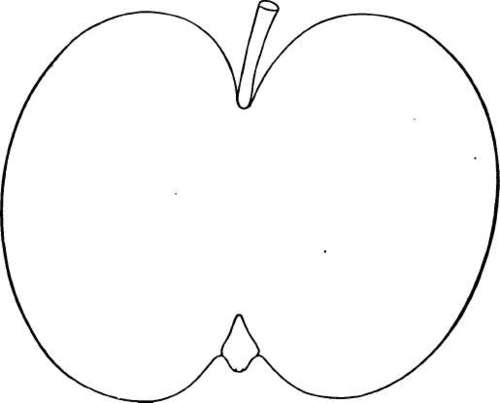 Apple Variety: Pryor Red