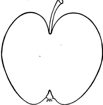 Apple Variety: Shiawassee