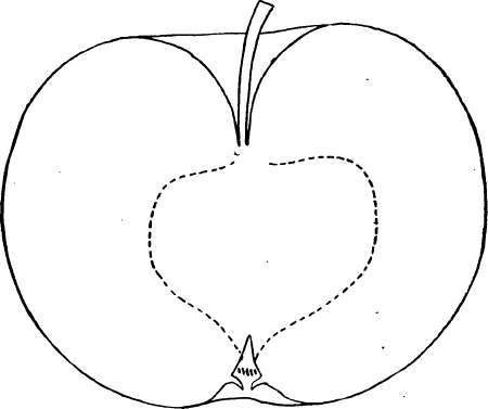 Apple Variety: Walbridge