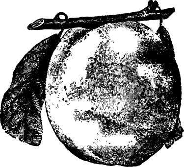 Peach: Lovett, (Reduced)