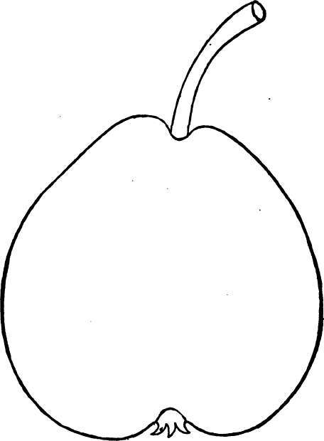 Pear: Howell