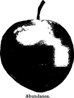 Plum: 