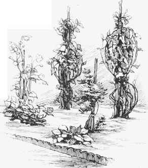 A mixed border with tile edging, the way in which the beautiful hardy flowers of the world have been grown in gardens hitherto, when grown at all. (Sketched in a large garden, 1878.)