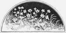 One Way Onwards From The Dark Ages Of Flower Garde 9