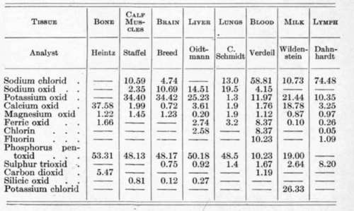 Composition-Of-Animals-And-Man-10