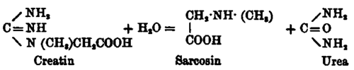 Absorption Assimilation Processes Of Metabolism 10