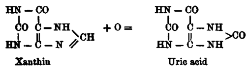 Absorption Assimilation Processes Of Metabolism 7
