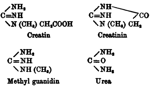 Absorption Assimilation Processes Of Metabolism 9