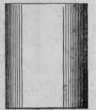 Elevation