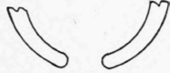 Calipers-257