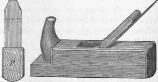 Fig. 61. Round. 1/5. P seen from behind.