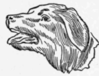Kinds-of-Wood-Carving-56