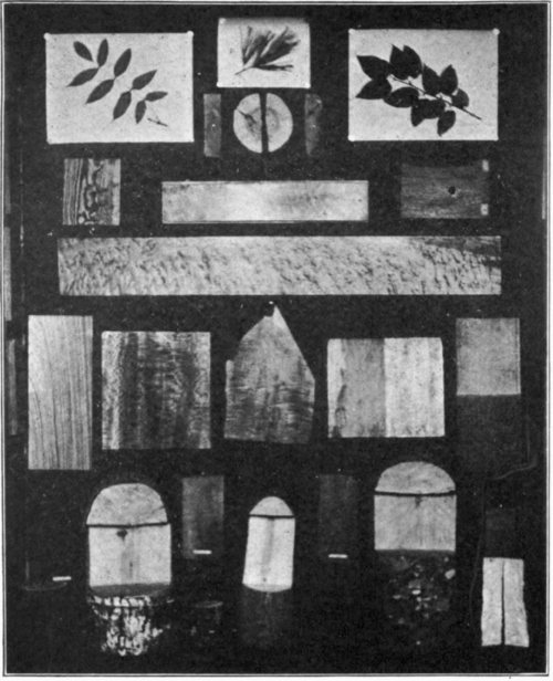 Woodfinishing-9