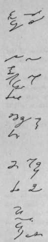 Cotton-317