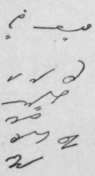 Law-and-Collections-114