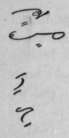 Law-and-Collections-116