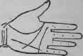 V The Third Or Outer Angle 979
