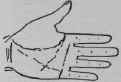 V The Third Or Outer Angle 981